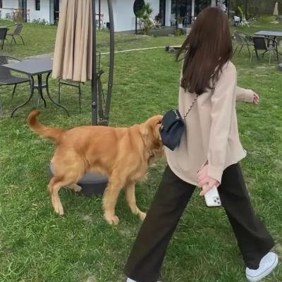 这次换我先回头